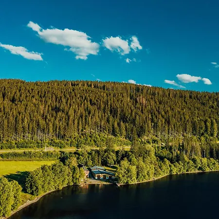 Seeblick Panorama Титизее-Нойштадт